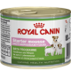 ROYAL CANIN DOG STARTER MOUSSE 195g